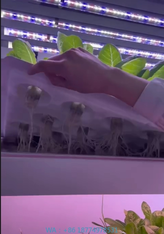 Hydroponic Tower - 温室農業機器、きのこ、野菜、果物の栽培、垂直農場、水耕栽培タワーシステム、屋内栽培棚