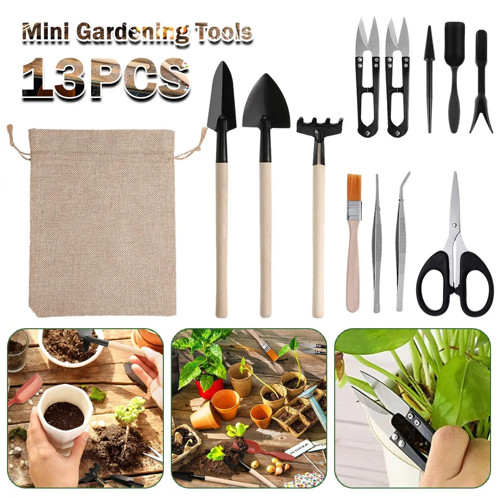 Indoor Garden Kit - 屋内多肉植物ツールセット、黒の鉢植え、サボテンの植物の栽培、ホームガーデンキット、13個