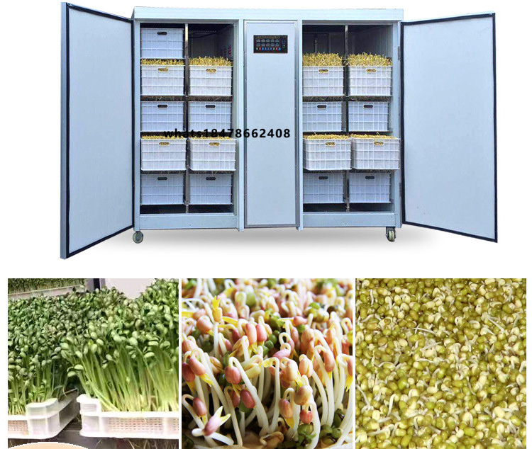 Automatic Watering - インテリジェント多株発芽栽培機 自動給水 400KG容量 1日100kgの発芽量 発芽栽培キャビネット