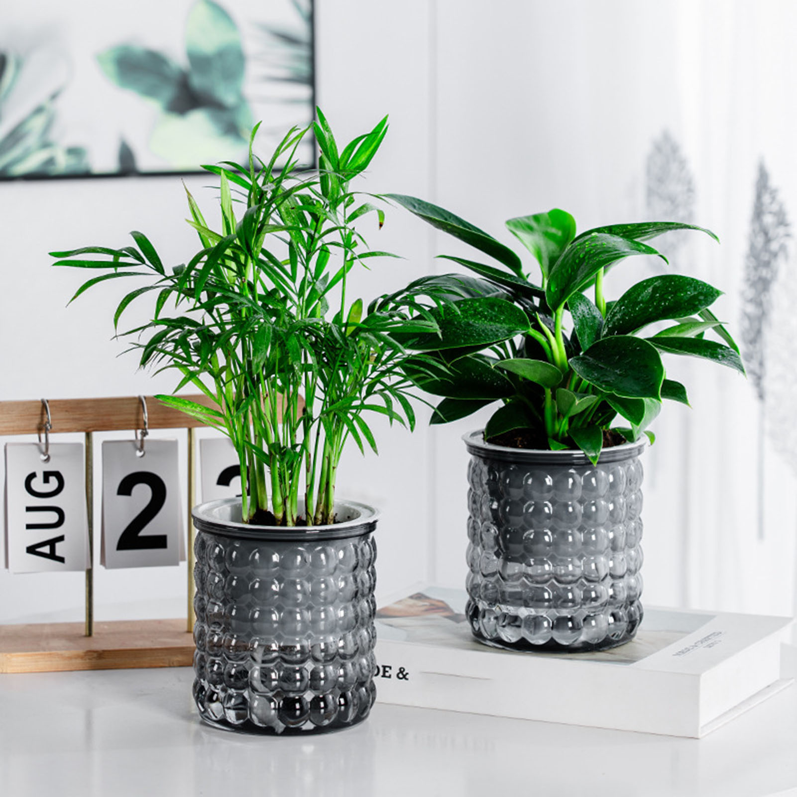 Hydroponic Grow Pod - 水耕栽培の植木鉢,プラスチック製の多肉植物プランター,卓上花瓶,ホームオフィスの盆栽装飾,装飾プランター,自己散水,新品