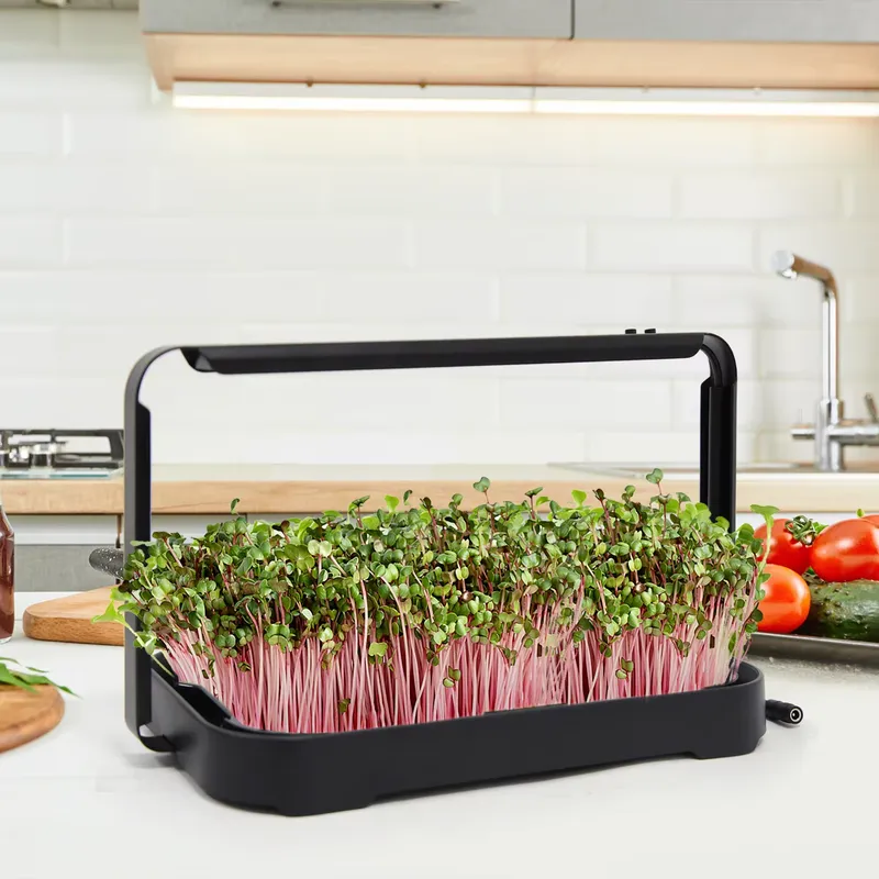 Indoor Garden Kit - 水耕栽培トレイ 室内マイクログリーン マイクログリーン種子 発芽栽培システム 家庭菜園キット スマートプランター