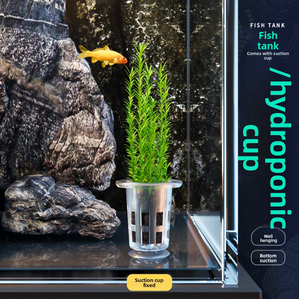 10個入り透明植物水耕栽培ポット、吸盤付きプラスチック製水草 - Hydroponic Grow Pod のレビューと価格