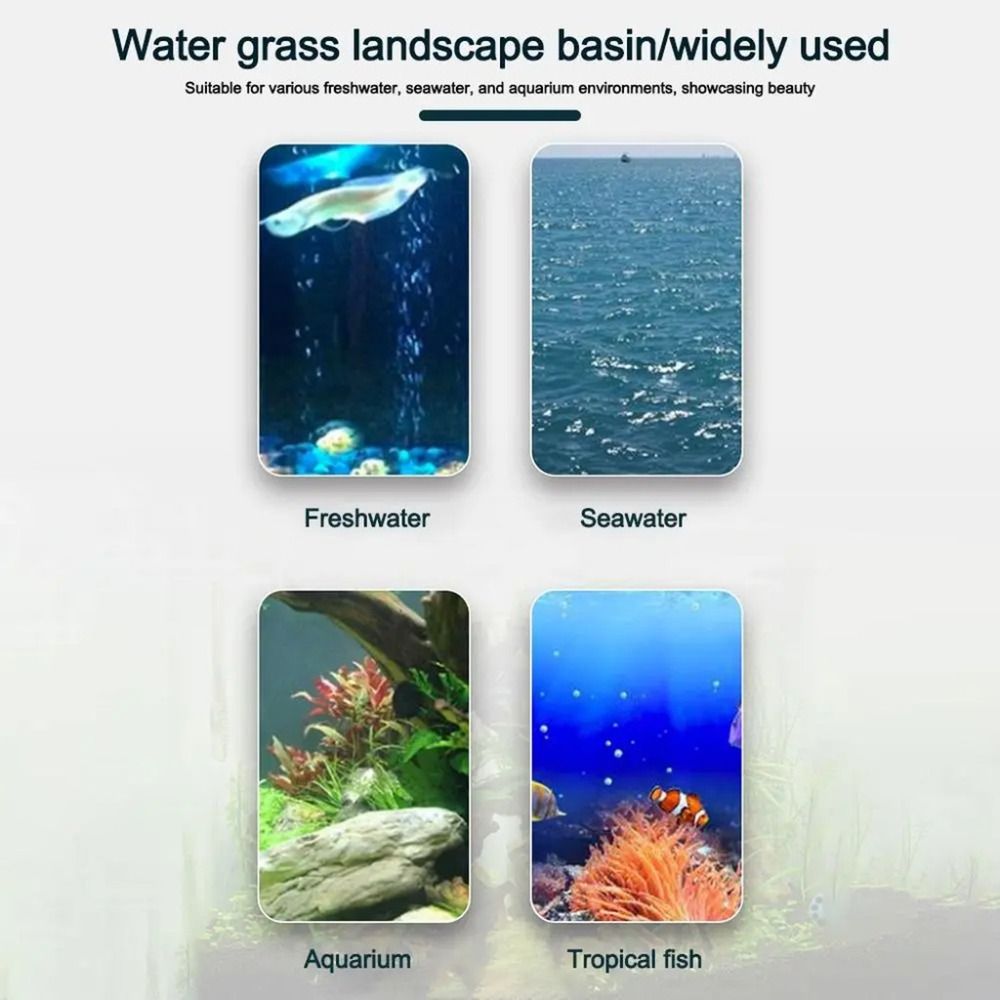 10個入り透明植物水耕栽培ポット、吸盤付きプラスチック製水草 - Hydroponic Grow Pod のレビューと価格