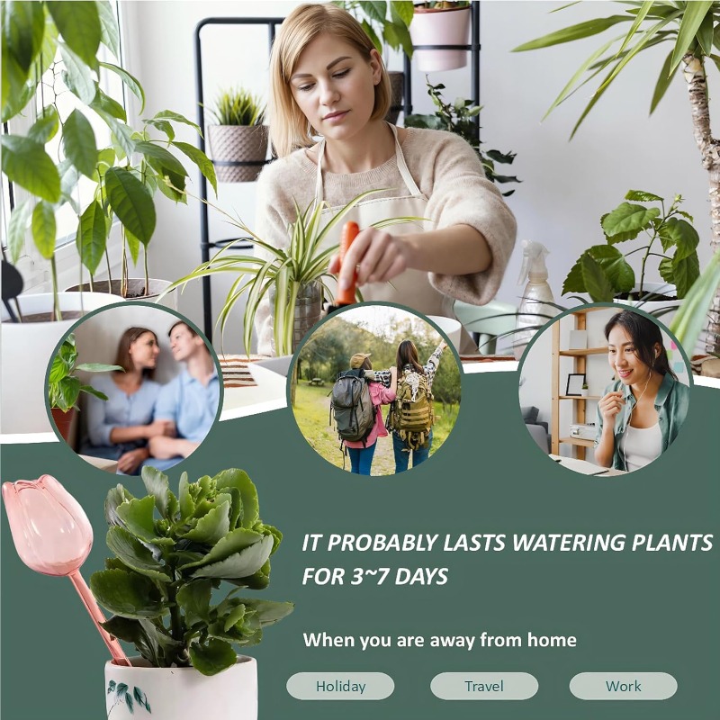 ピンクのチューリップ型水やりボール 自動給水器 室内および屋 - Plant Sensor のレビューと価格