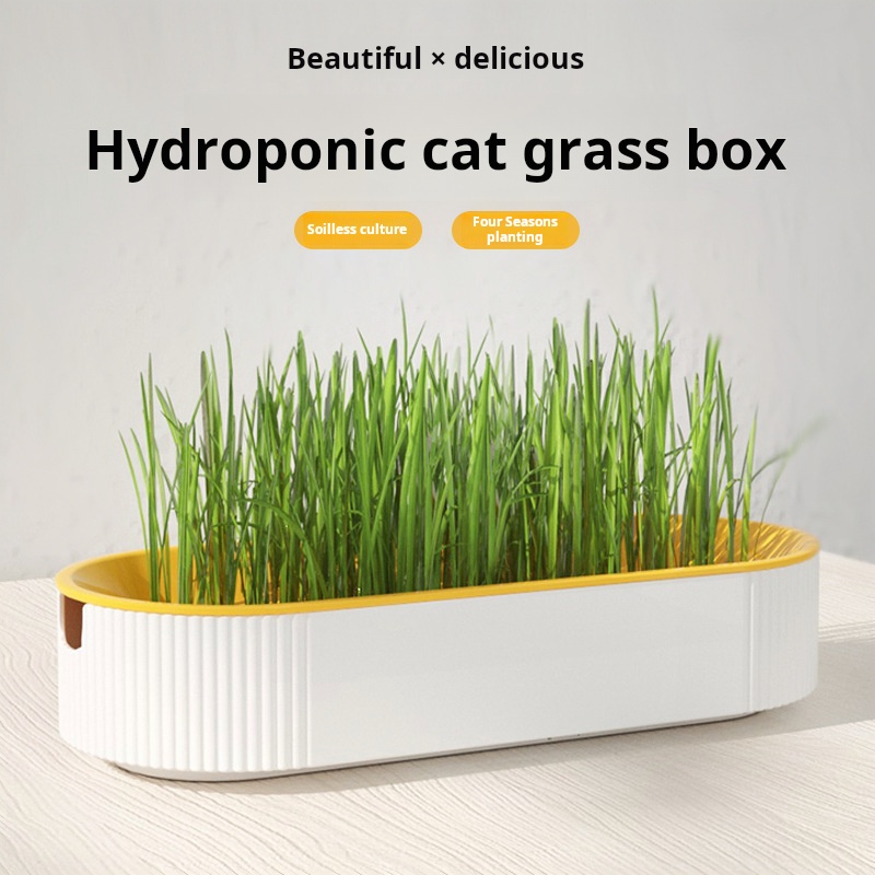簡単栽培水耕栽培キャットグラスボックスディッシュ栽培ポット猫 - Hydroponic Grow Pod のレビューと価格