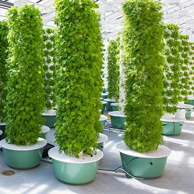 エアロポニックタワーガーデンシステム（照明付き）60株エアロ - Hydroponic Tower のレビューと価格