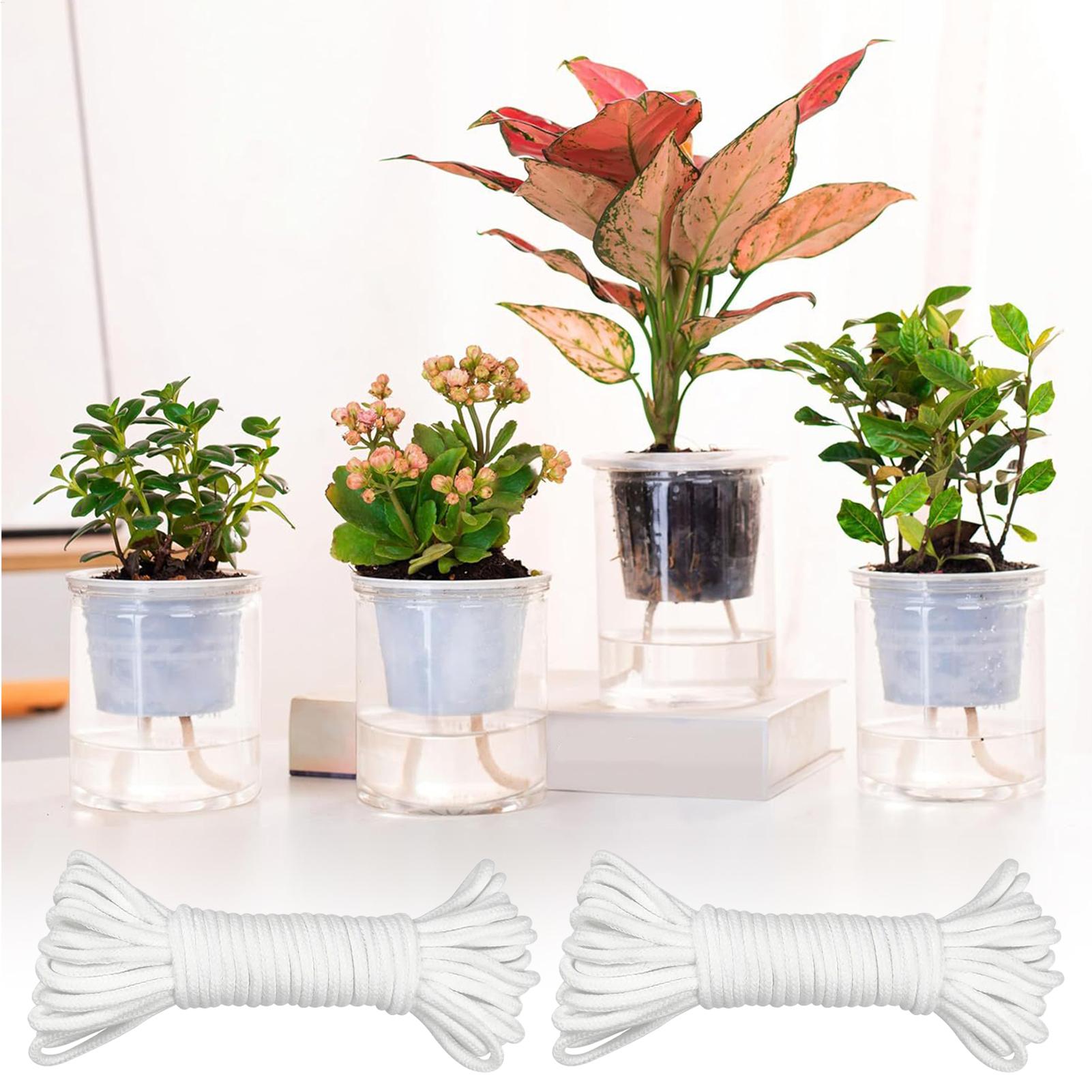 植物用芯材 自動給水用 2ピース自動給水器 ロープ植木鉢用  - Self Watering Planter のレビューと価格