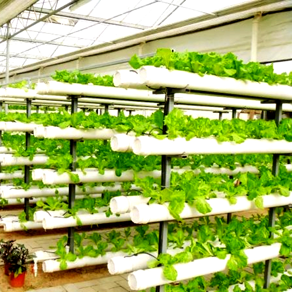 屋外水耕栽培タワー型栽培システム、土を使わない垂直水耕栽培タ - Hydroponic Tower のレビューと価格