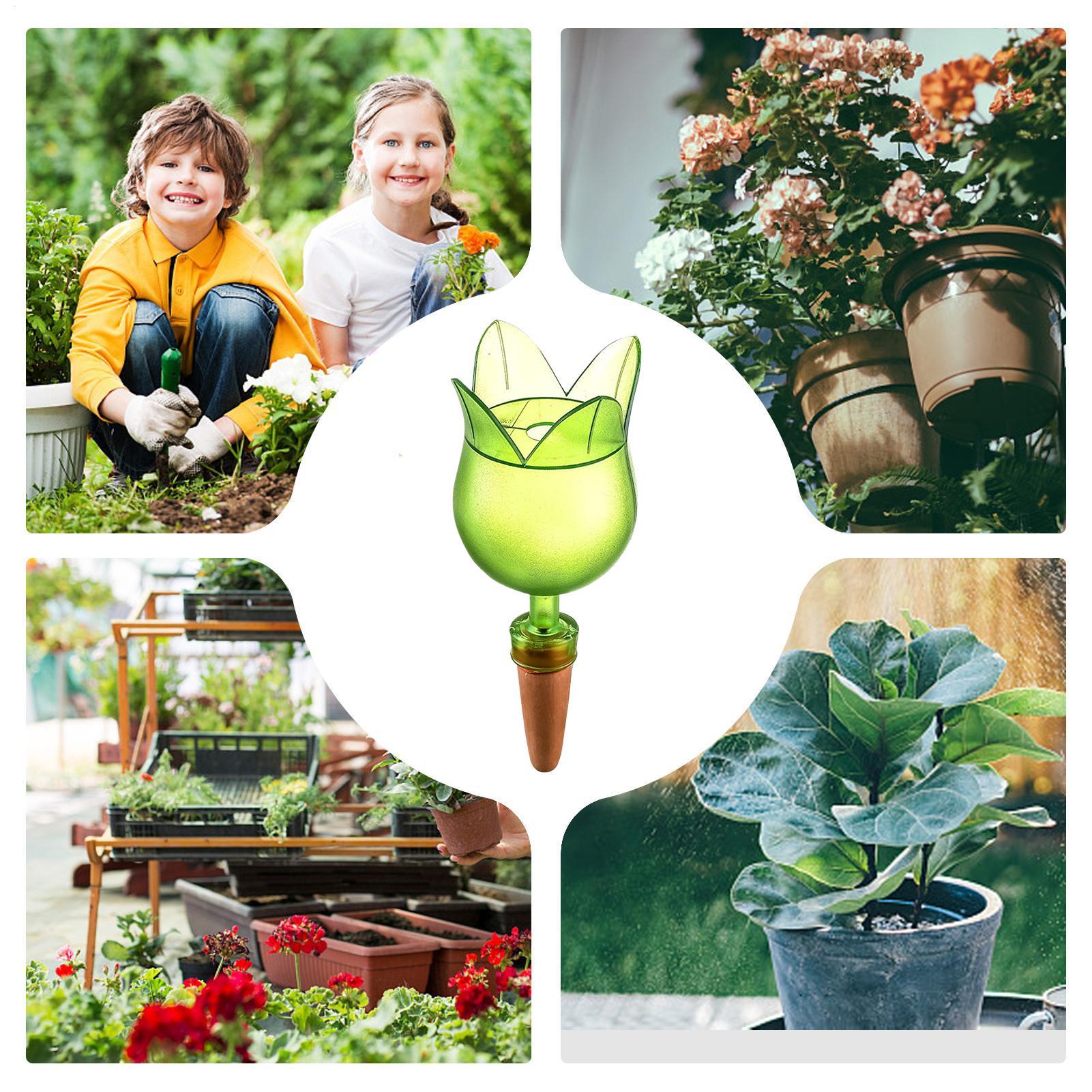 植物自動給水装置、植物点滴灌漑制御システム、セラミック鉢用ス - Self Watering Planter のレビューと価格