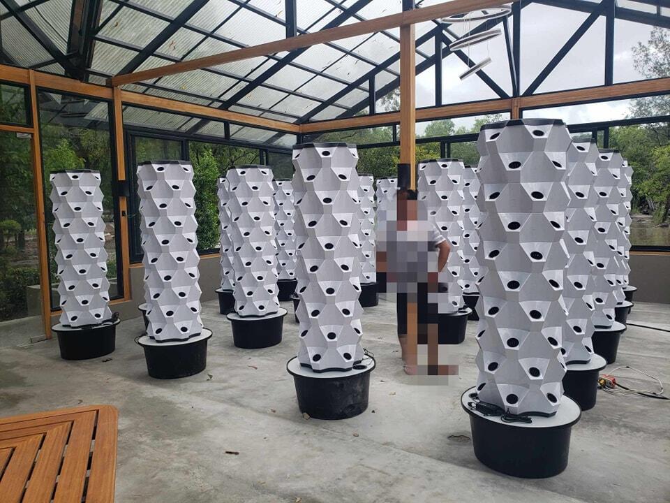 温室垂直農法水耕栽培タワーガーデン垂直水耕システム - Hydroponic Tower のレビューと価格