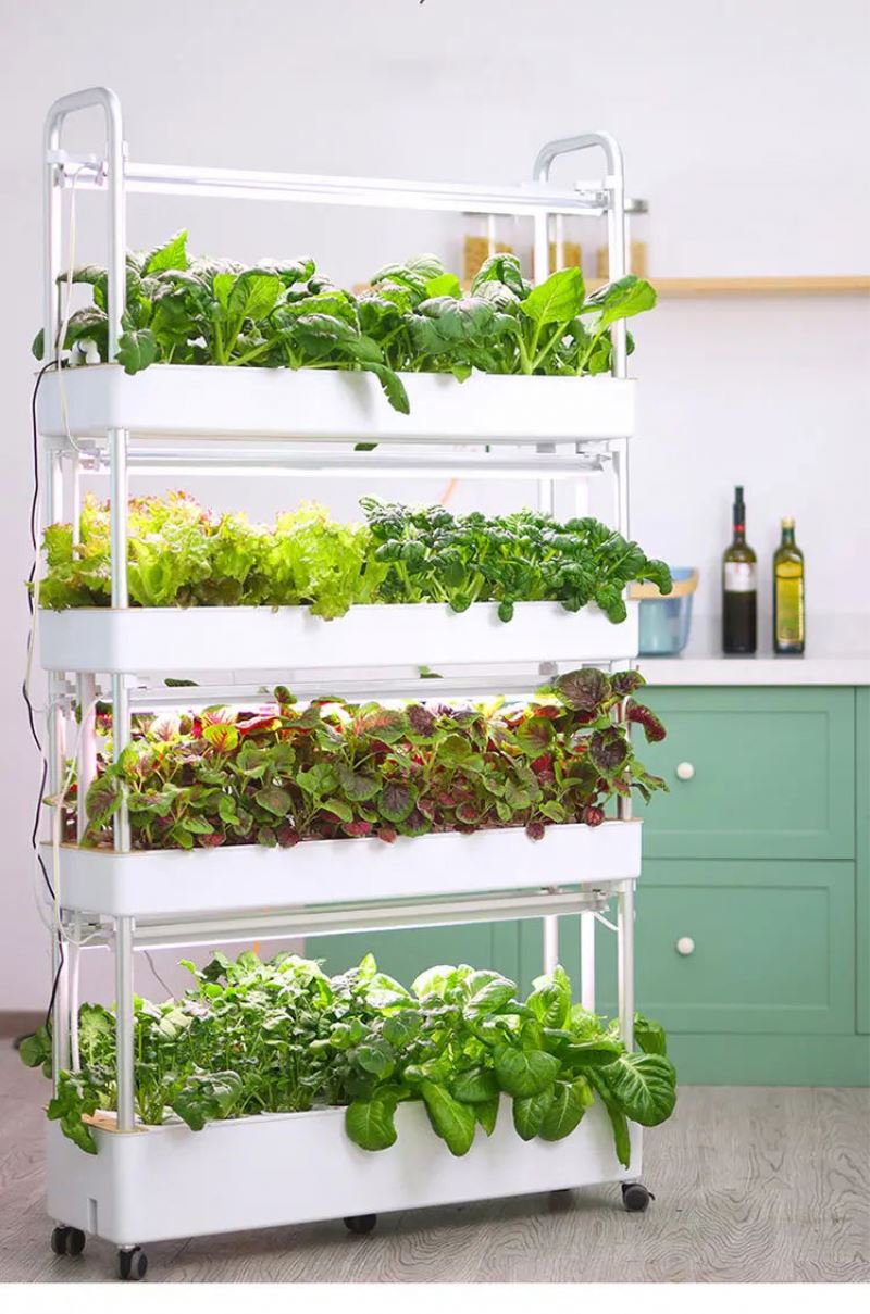 家庭用垂直型水耕栽培タワー温室。室内で土を使わない栽培が可能 - Hydroponic Tower のレビューと価格