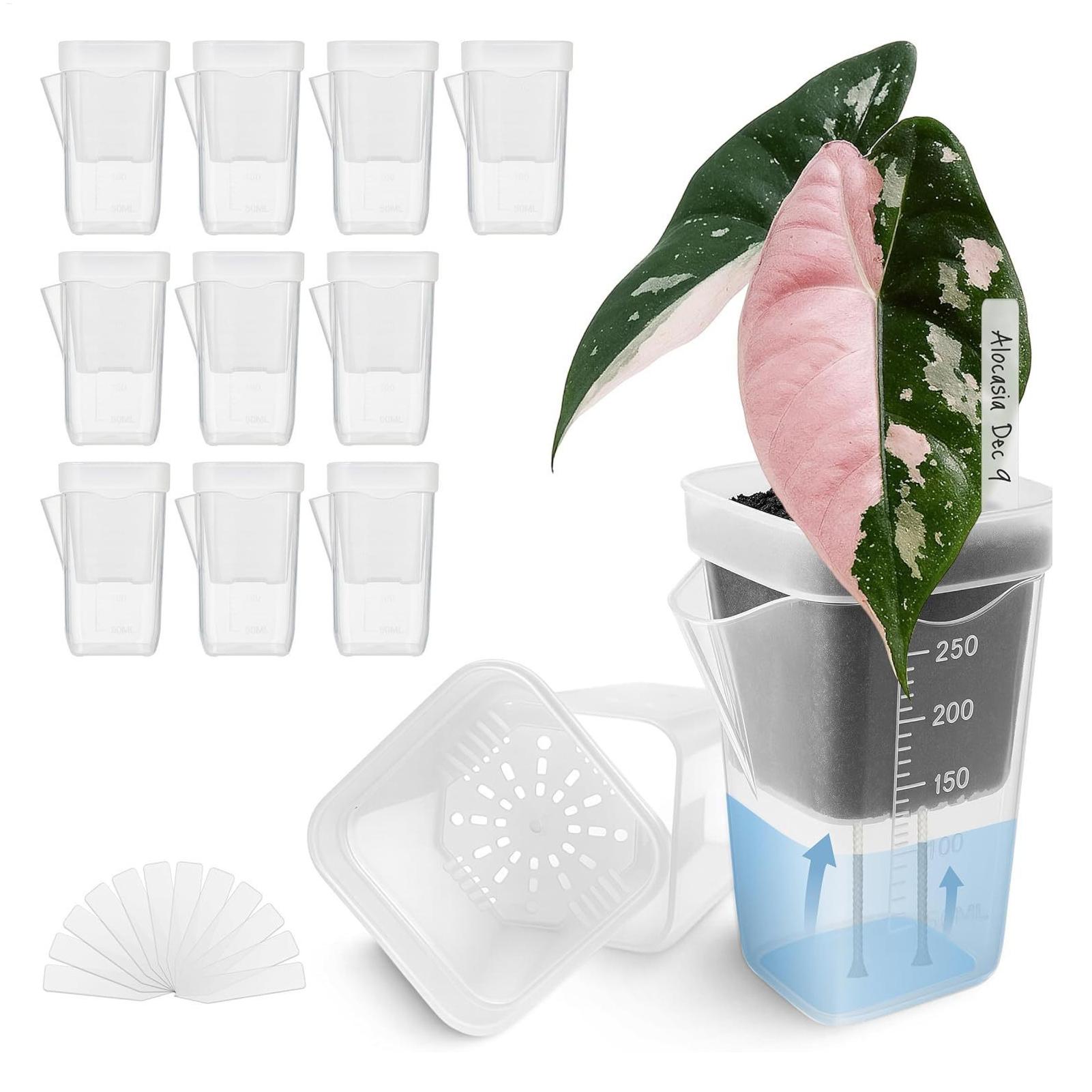 10個入り 室内用植木鉢 透明 自動給水プランター 小型 水 - Hydroponic Grow Pod のレビューと価格