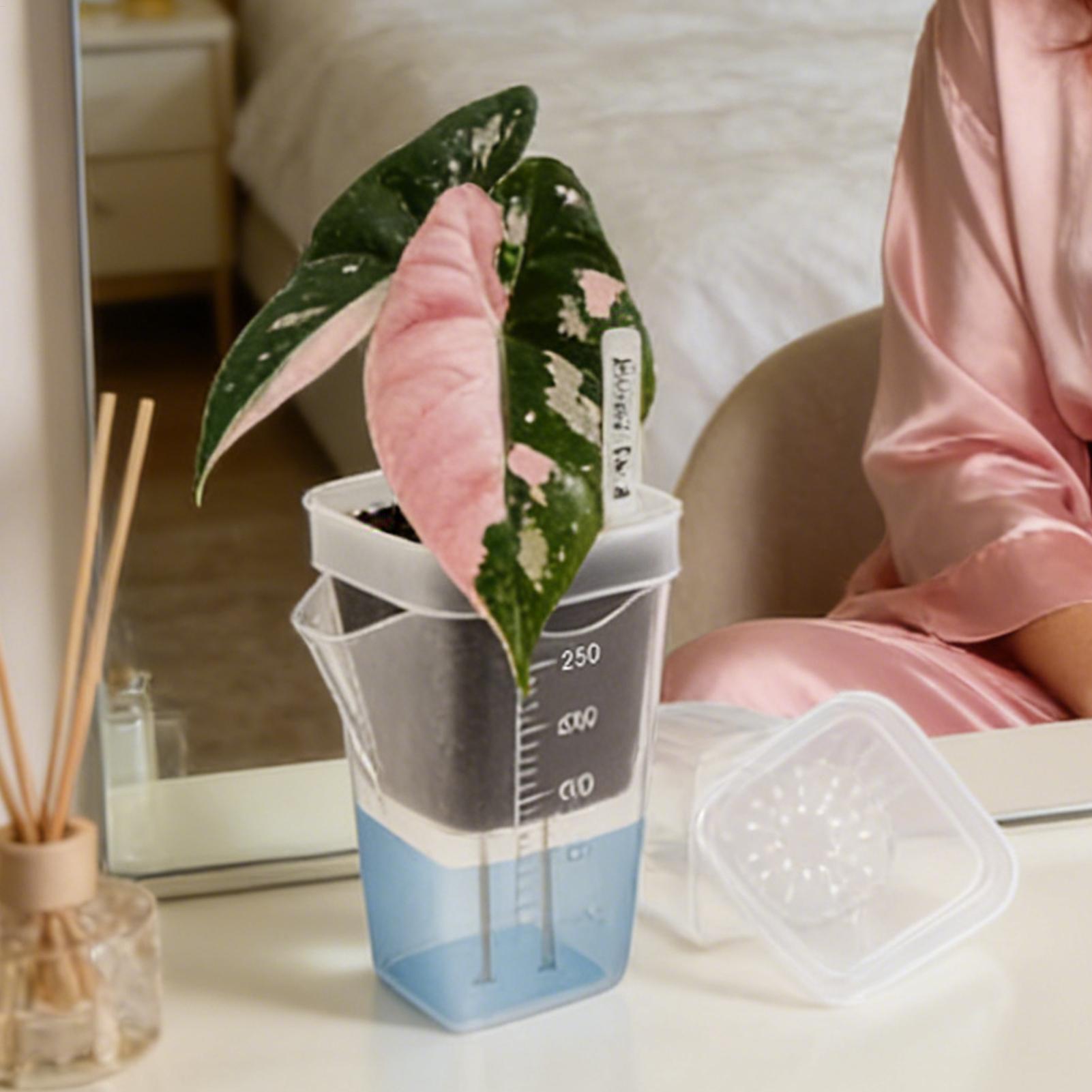 10個入り 室内用植木鉢 透明 自動給水プランター 小型 水 - Hydroponic Grow Pod のレビューと価格