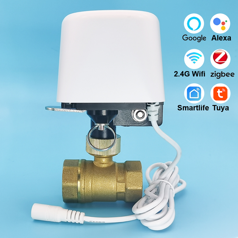 1/2インチ 3/4インチ 1インチ DN32 Tuya Z - Smart Garden System のレビューと価格