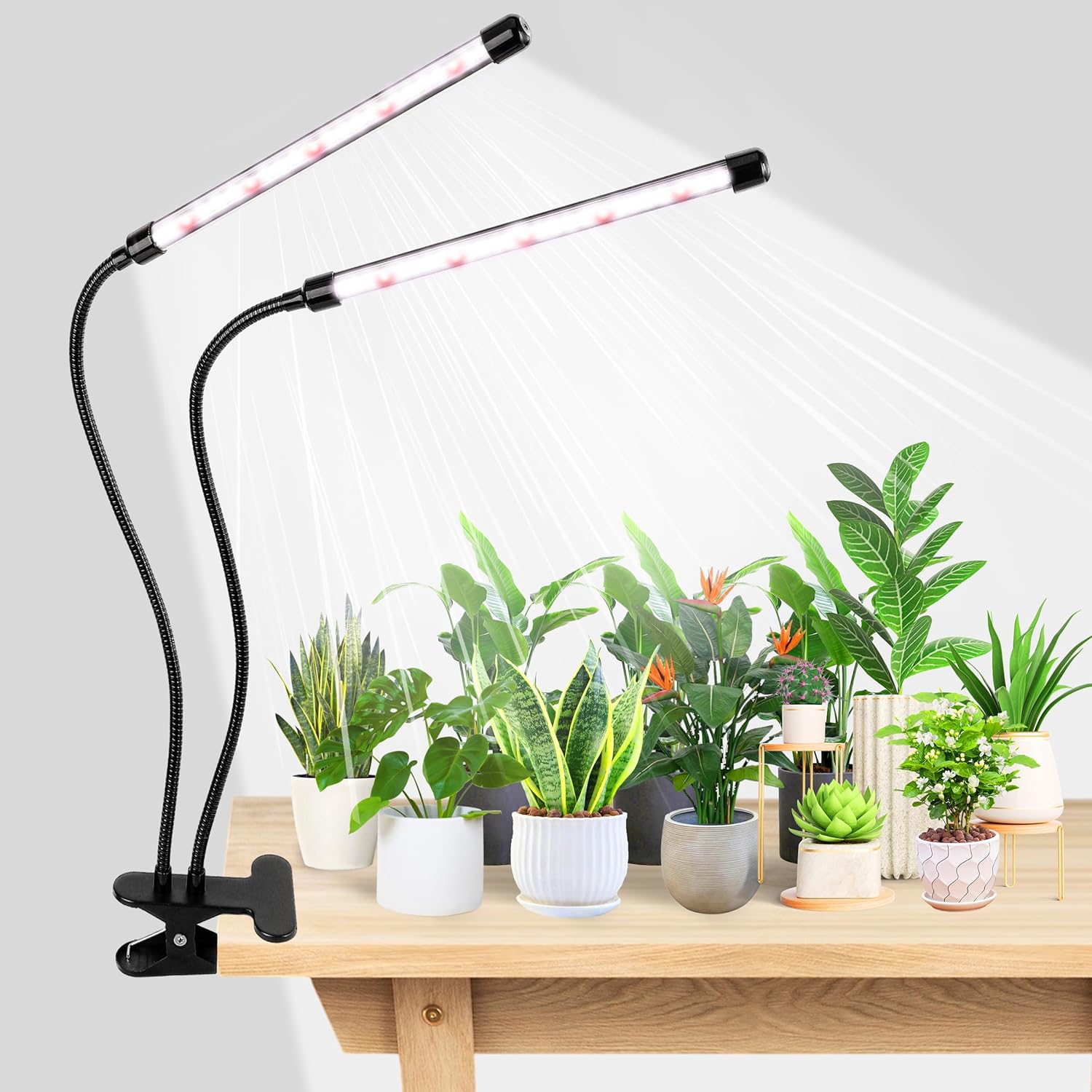 KEBINCPLED USB 5V クリップ式植物育成ライト - Hydroponic Grow Pod のレビューと価格