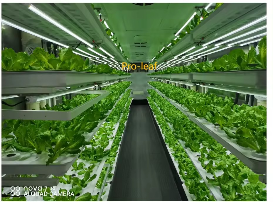 温室農業機器、きのこ、野菜、果物の栽培、垂直農場、水耕栽培タ - Hydroponic Tower のレビューと価格