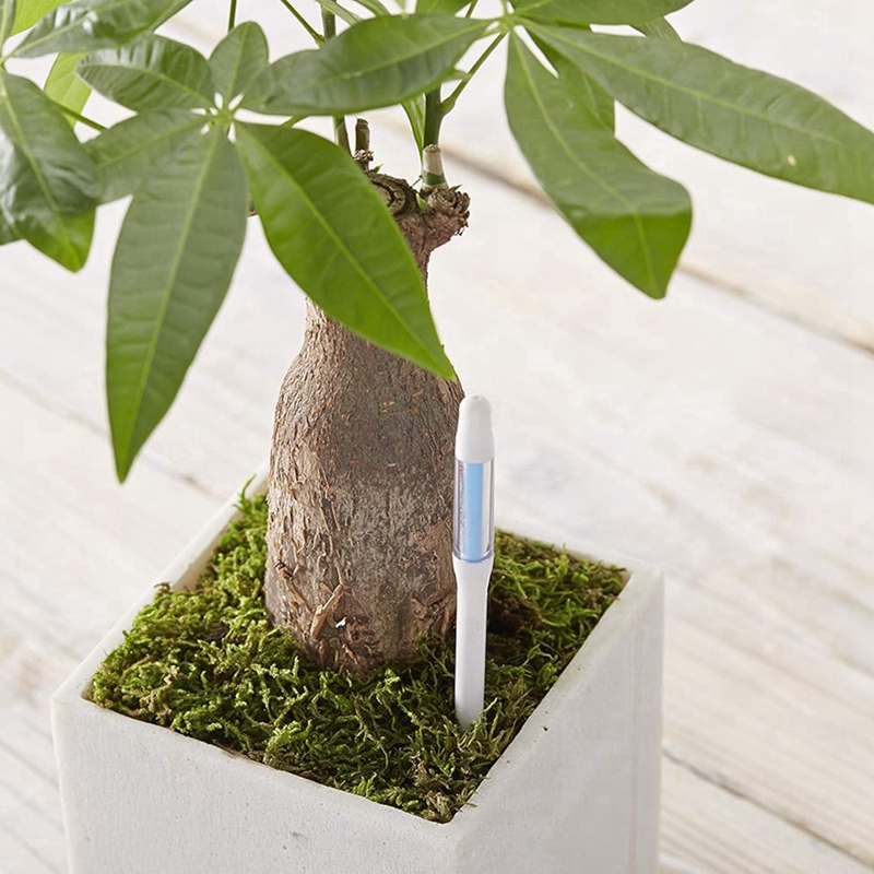 アクアメーター、5個入り、植物土壌水分センサー、室内植物土壌 - Plant Sensor のレビューと価格