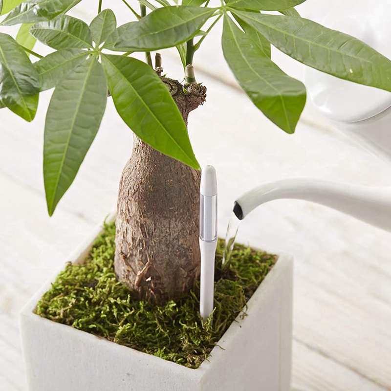 アクアメーター、5個入り、植物土壌水分センサー、室内植物土壌 - Plant Sensor のレビューと価格