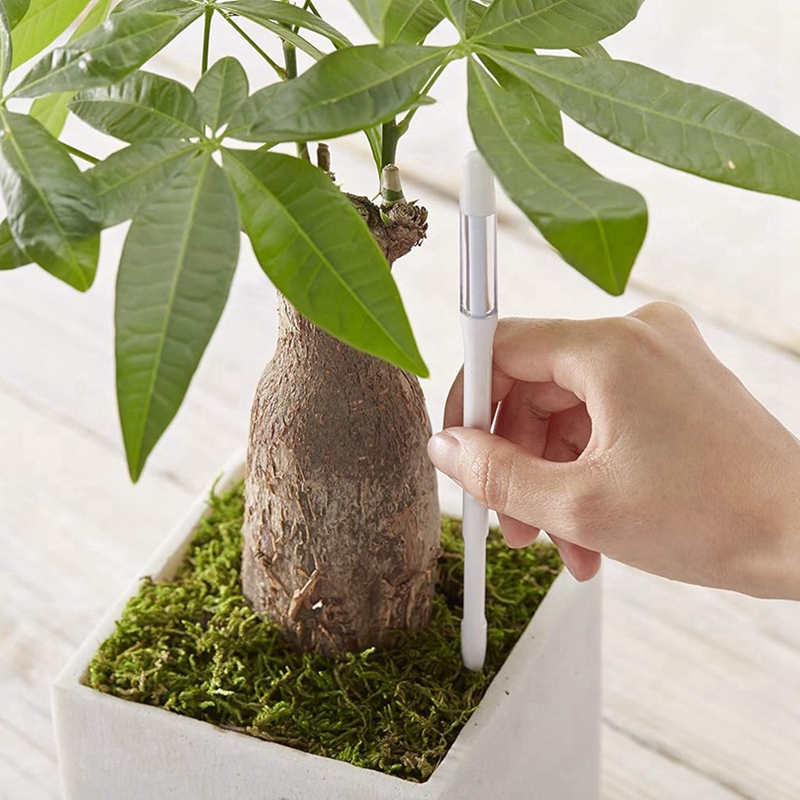 アクアメーター、5個入り、植物土壌水分センサー、室内植物土壌 - Plant Sensor のレビューと価格