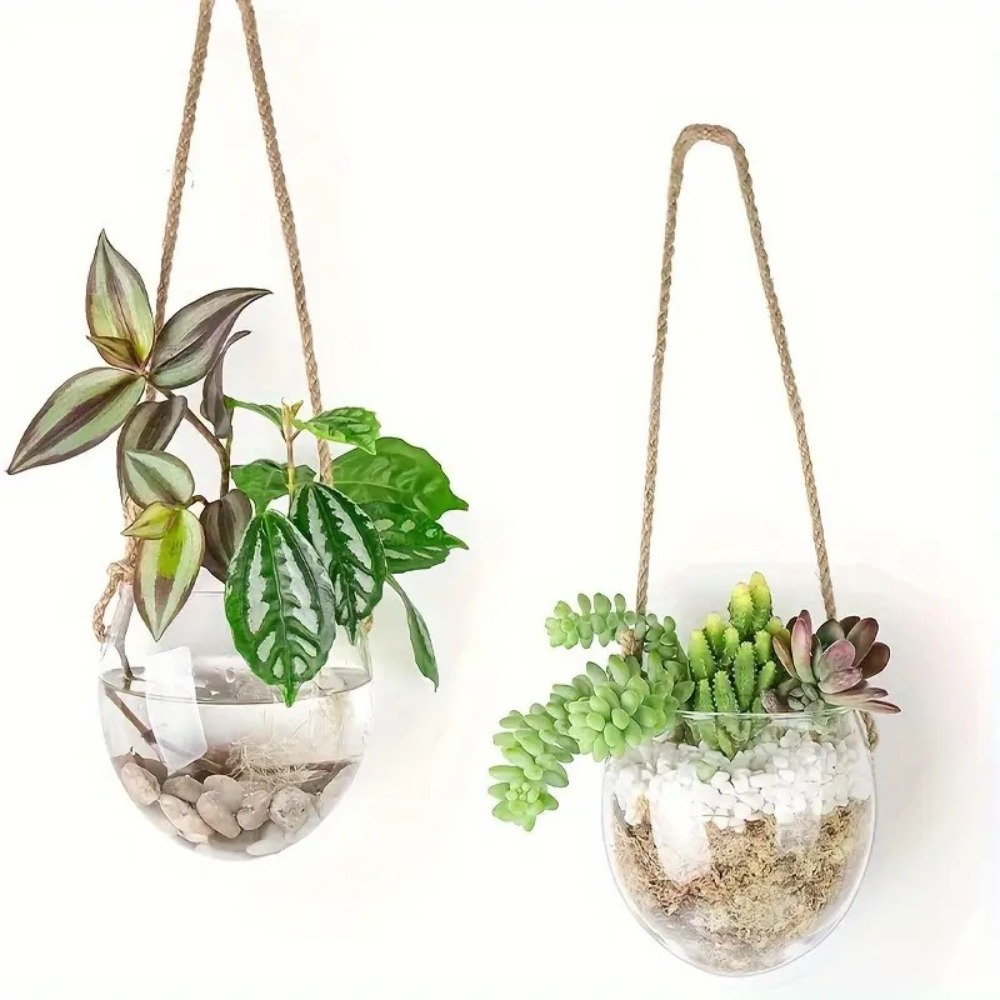 透明な水耕栽培用吊り下げ花瓶、ガラス製の精巧なフラワーポット - Hydroponic Grow Pod のレビューと価格