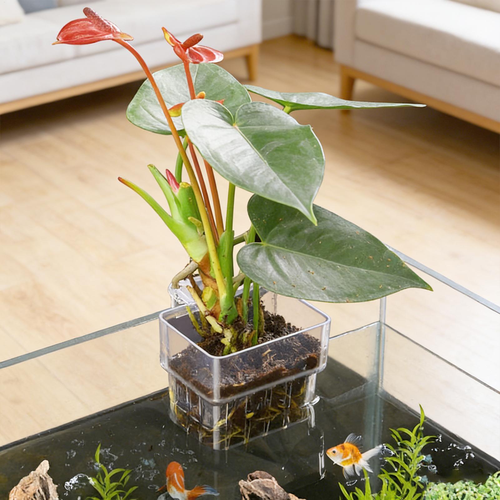 透明な吊り下げ式水槽植物ホルダーポット、水槽水耕栽培システム - Hydroponic Grow Pod のレビューと価格