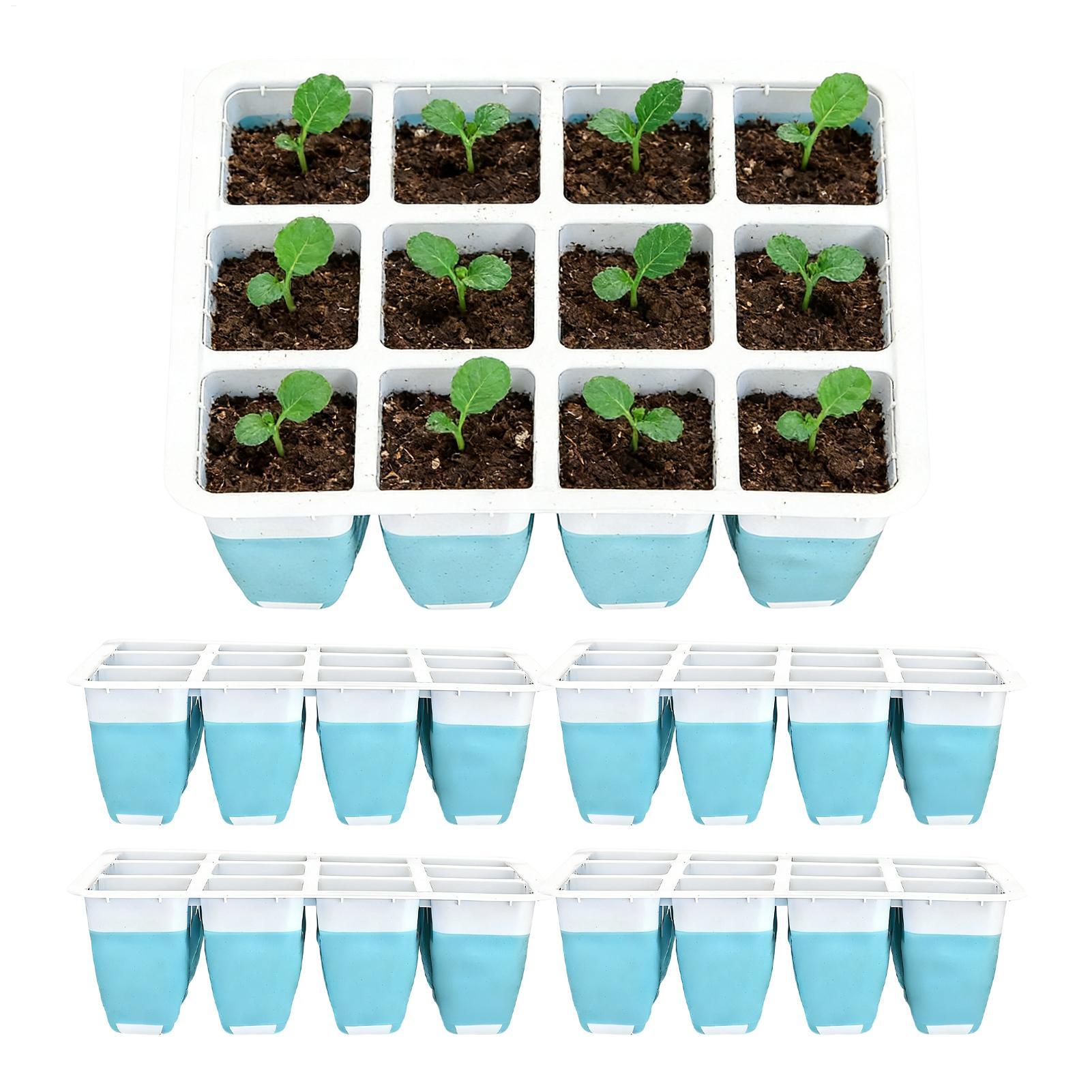 5パックシリコン製種まきトレイ60セル再利用可能な苗発芽スク - Indoor Garden Kit のレビューと価格