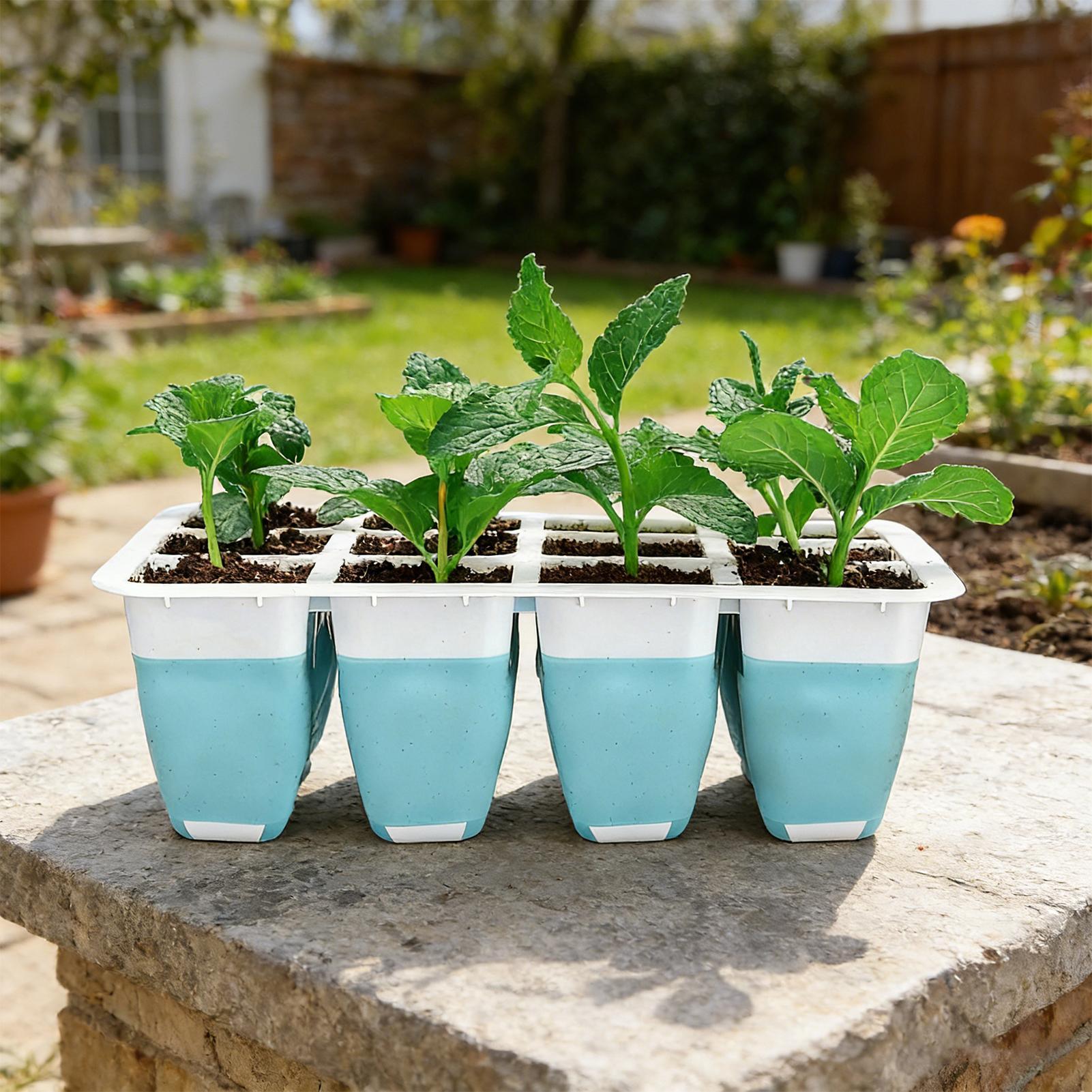 5パックシリコン製種まきトレイ60セル再利用可能な苗発芽スク - Indoor Garden Kit のレビューと価格
