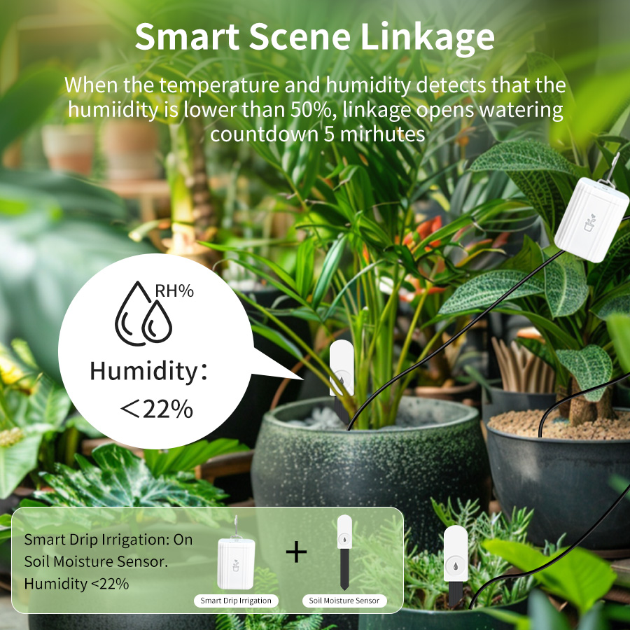 スマートZigbee 3.0土壌テスター、植物・庭園用湿度・ - Plant Monitor のレビューと価格