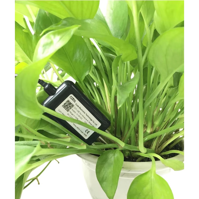 CDT-30B Rs485 0-2v 出力 植物土壌水分 E - Plant Sensor のレビューと価格