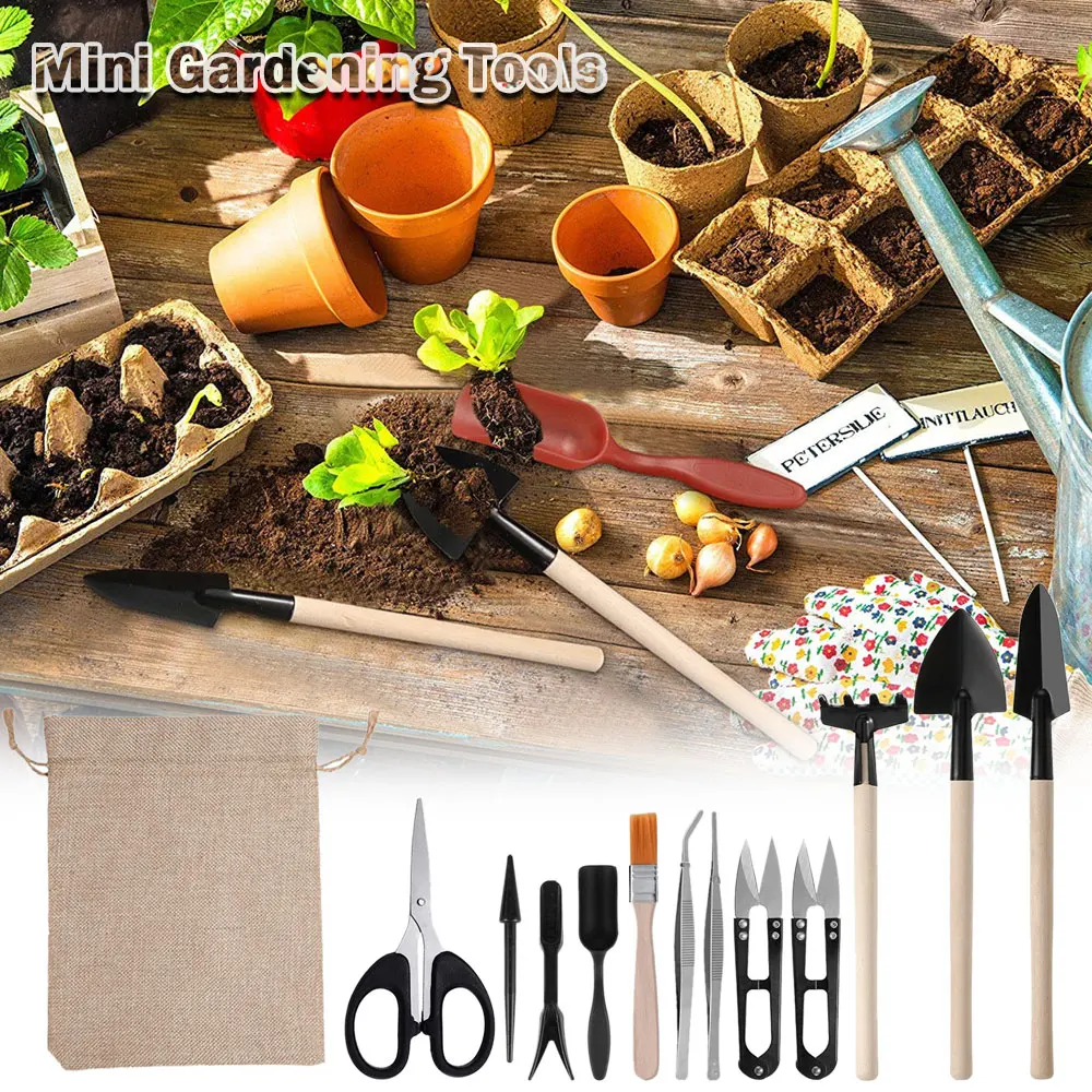 屋内多肉植物ツールセット、黒の鉢植え、サボテンの植物の栽培、 - Indoor Garden Kit のレビューと価格