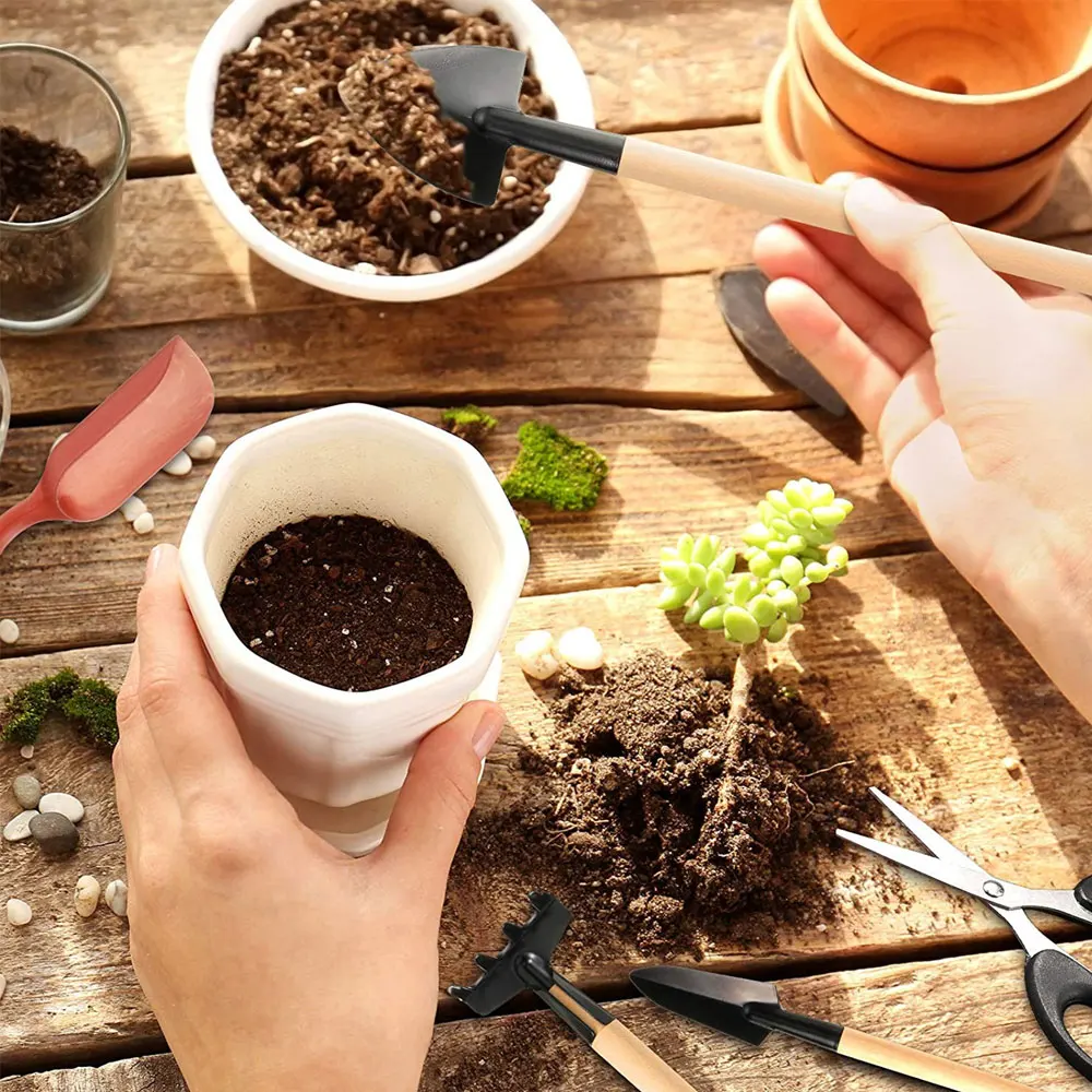 屋内多肉植物ツールセット、黒の鉢植え、サボテンの植物の栽培、 - Indoor Garden Kit のレビューと価格