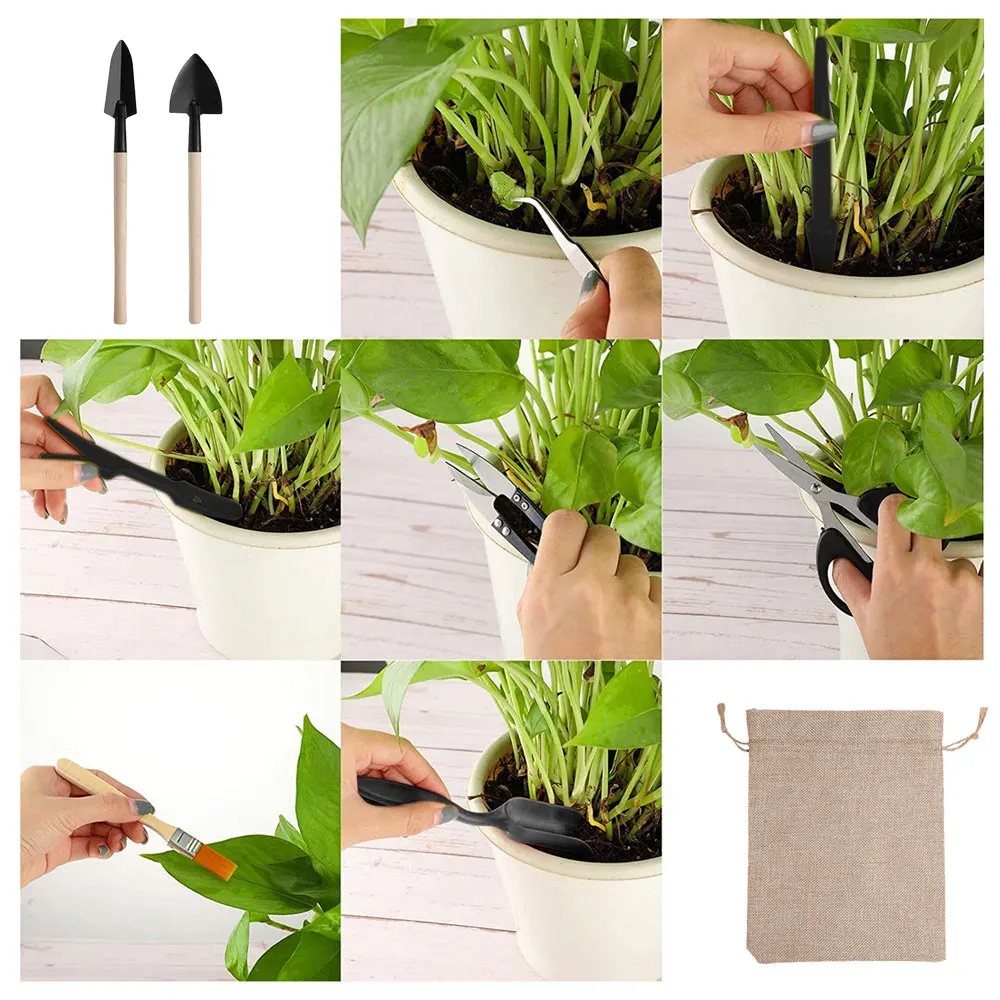 屋内多肉植物ツールセット、黒の鉢植え、サボテンの植物の栽培、 - Indoor Garden Kit のレビューと価格