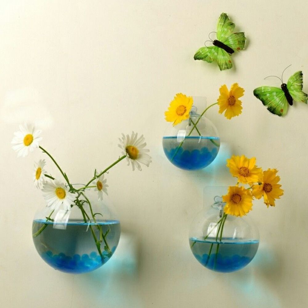 透明なガラスの花瓶、壁の吊り下げ、ハイドロポニックテラリウム - Hydroponic Grow Pod のレビューと価格