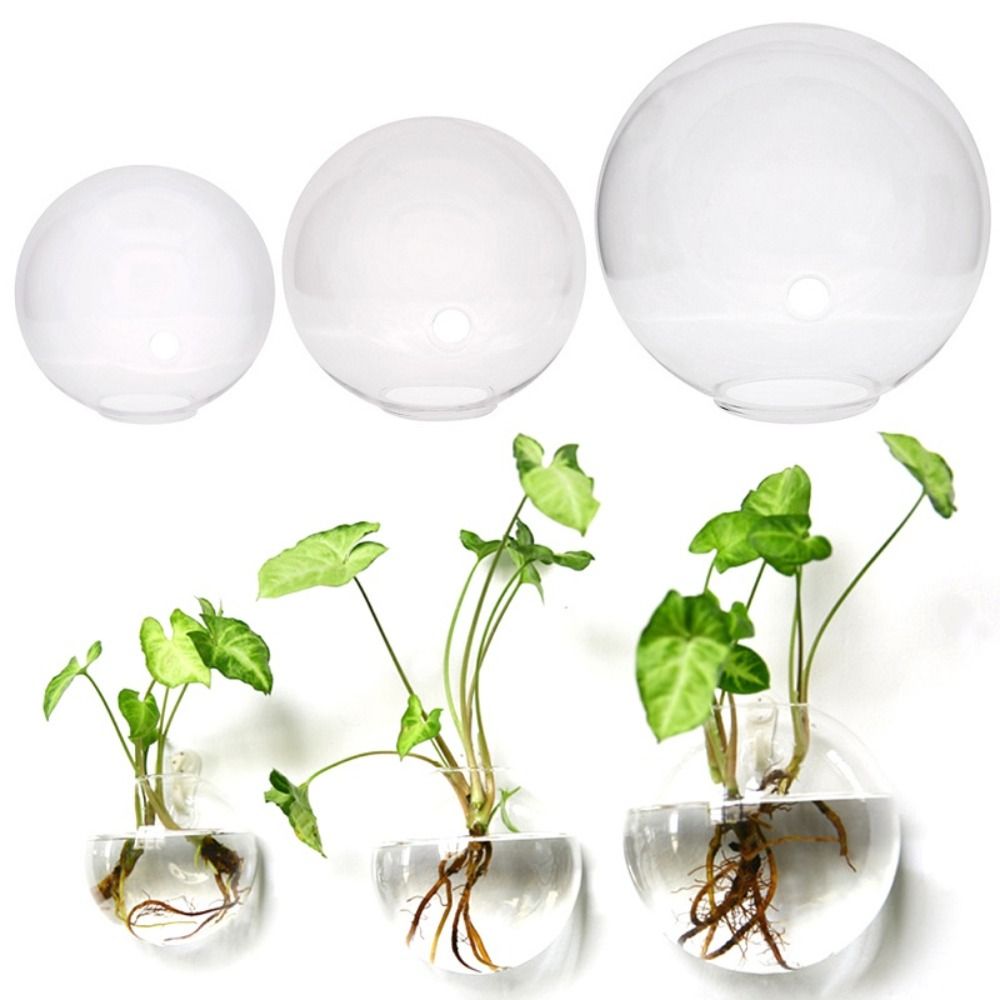 透明なガラスの花瓶、壁の吊り下げ、ハイドロポニックテラリウム - Hydroponic Grow Pod のレビューと価格
