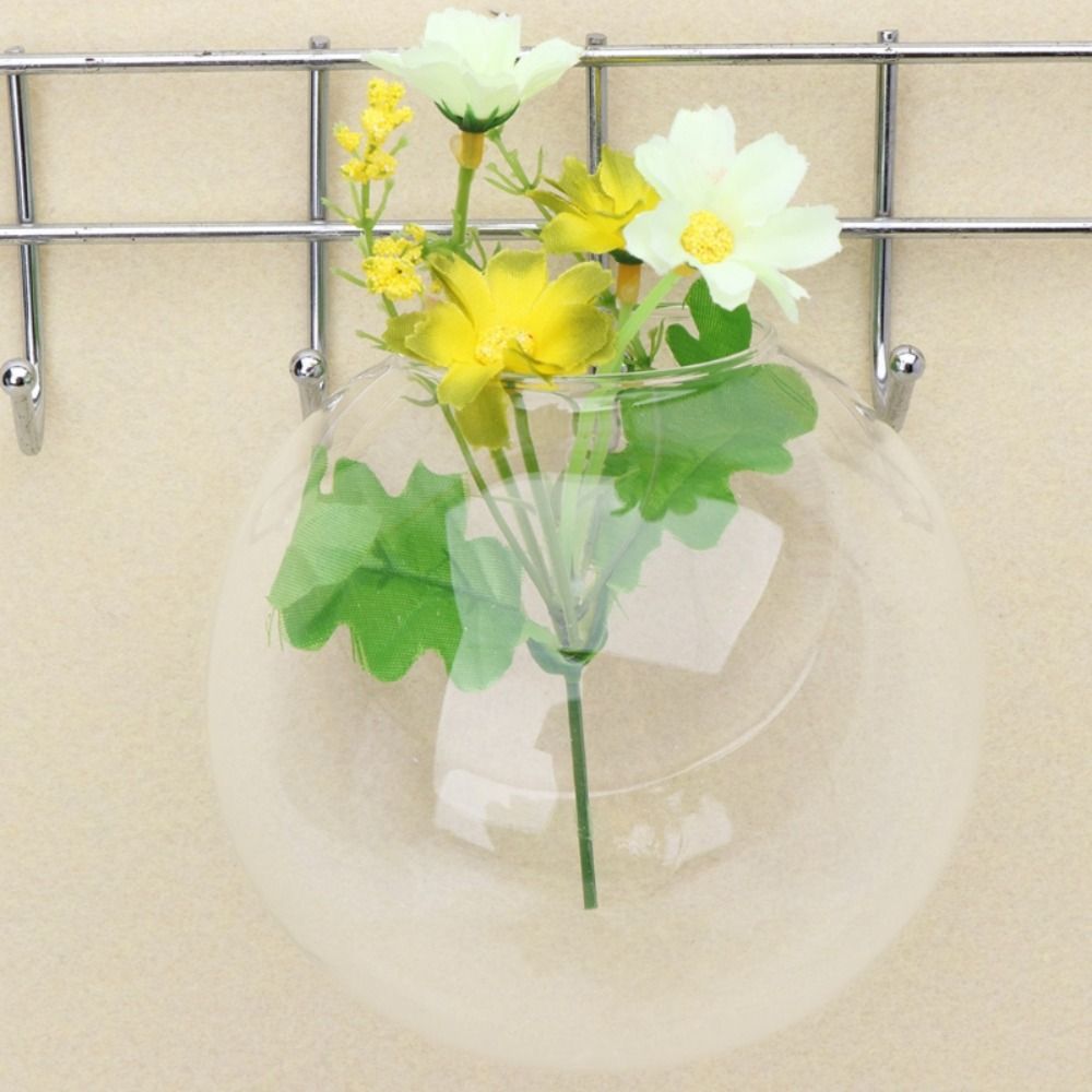 透明なガラスの花瓶、壁の吊り下げ、ハイドロポニックテラリウム - Hydroponic Grow Pod のレビューと価格