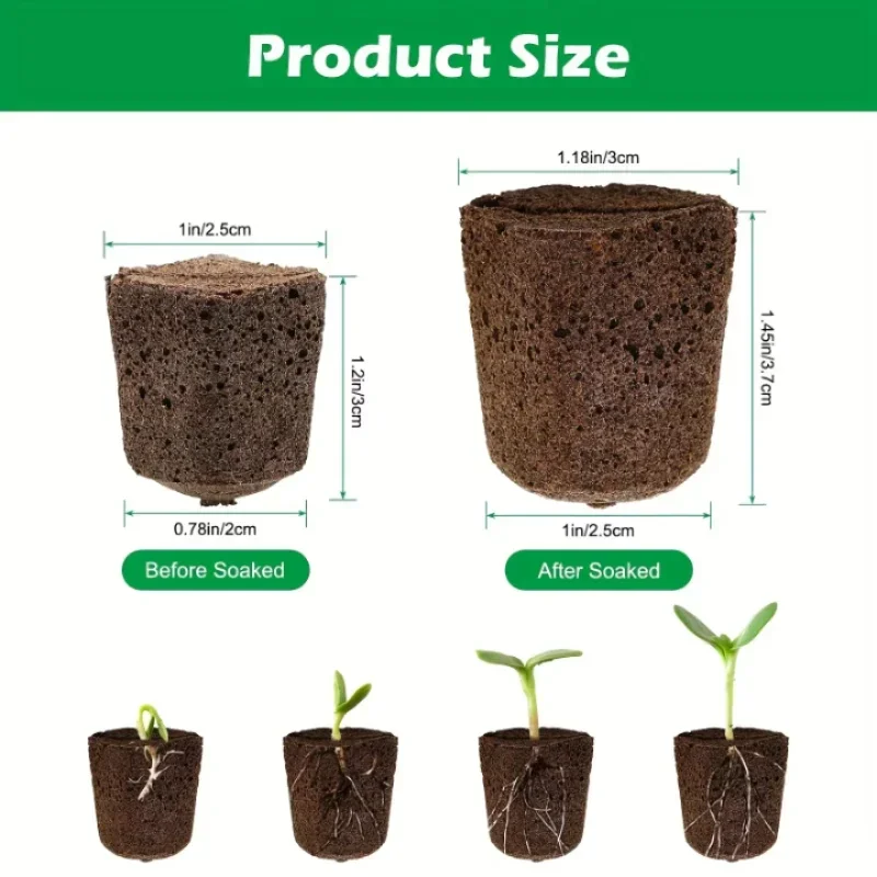 水耕栽培室内庭園システム用苗スタータースポンジキット、成長ス - Indoor Garden Kit のレビューと価格