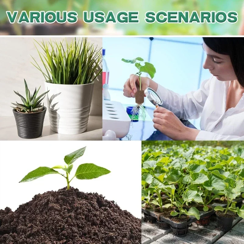 水耕栽培室内庭園システム用苗スタータースポンジキット、成長ス - Indoor Garden Kit のレビューと価格