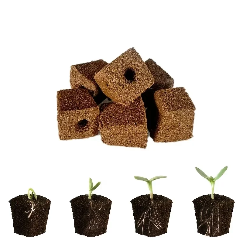 水耕栽培室内庭園システム用苗スタータースポンジキット、成長ス - Indoor Garden Kit のレビューと価格