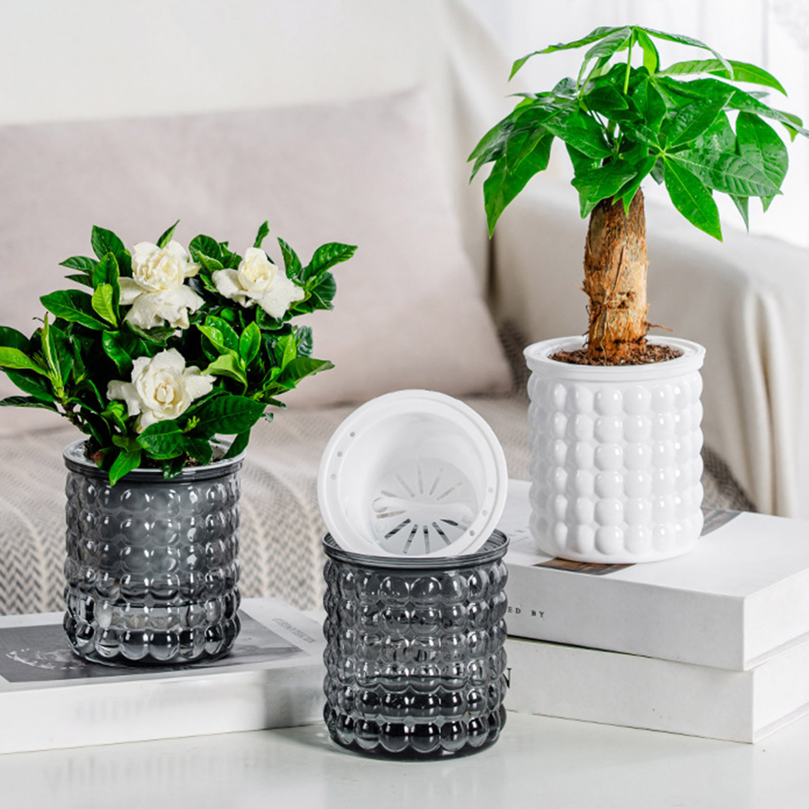 水耕栽培の植木鉢,プラスチック製の多肉植物プランター,卓上花 - Hydroponic Grow Pod のレビューと価格