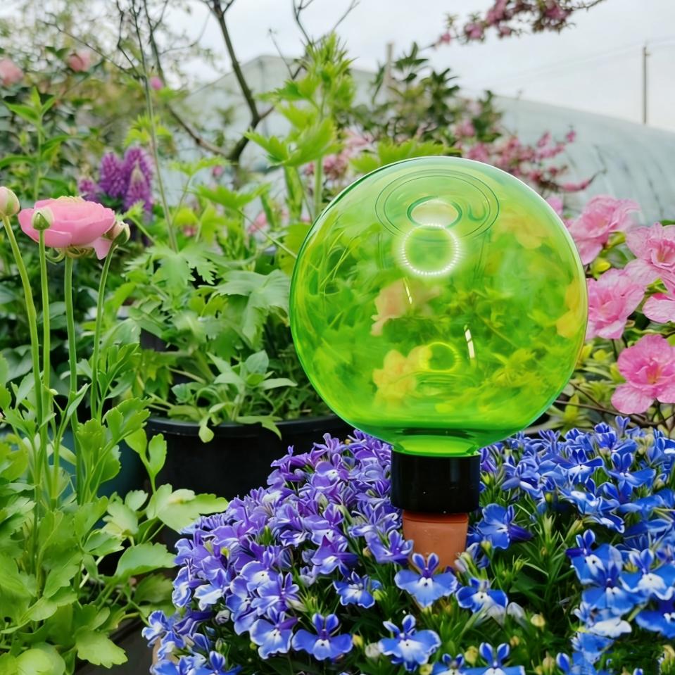 3個入り大型植物自動給水グローブ、プラスチック製水球、自動給 - Self Watering Planter のレビューと価格