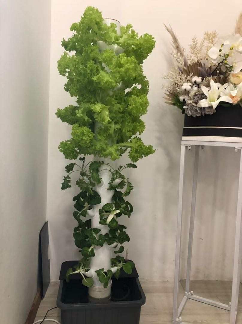 垂直水耕栽培タワー エアロポニックタワー ハーブ、果物、野菜 - Hydroponic Tower のレビューと価格