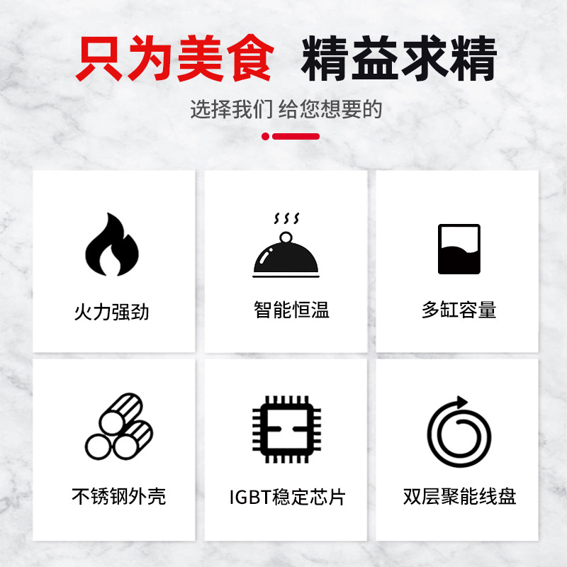 業務用誘導式スープウォーマー デュアルポット スマートサーモ - Smart Pot のレビューと価格