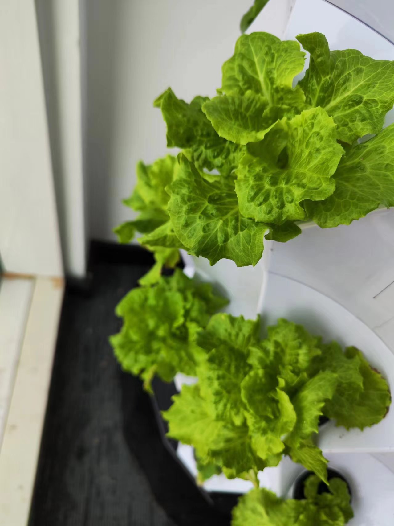 農場自動灌漑ドリップキットシステム水耕栽培タワーシステムパイ - Hydroponic Tower のレビューと価格