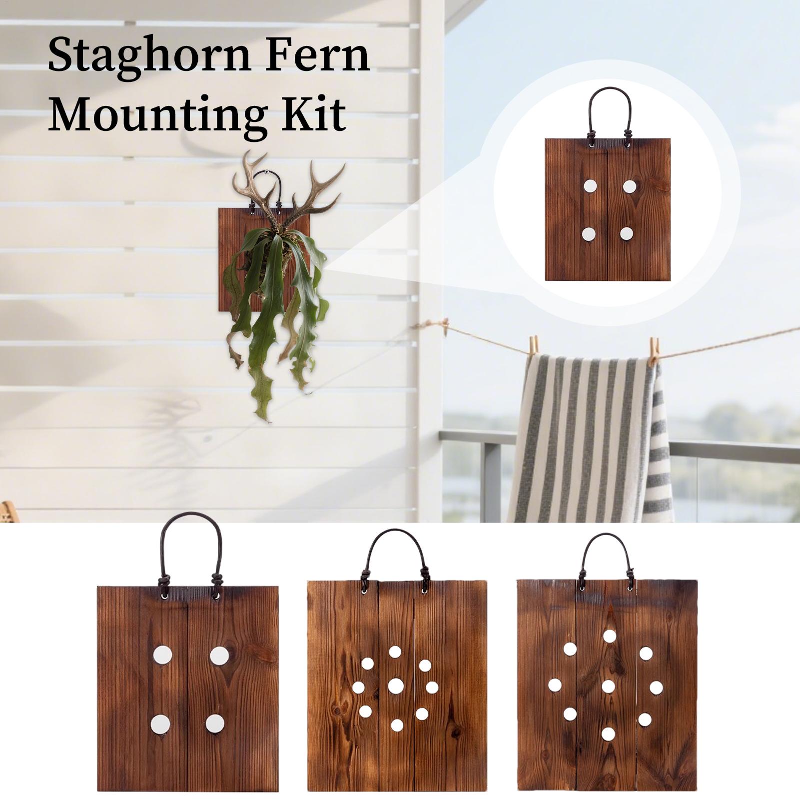 スタッグホーンファーン壁掛けボード木製プランターキット（金具 - Indoor Garden Kit のレビューと価格