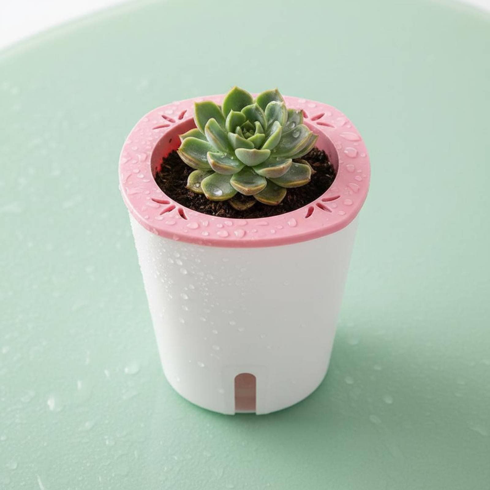 自動給水プランター 大型自動給水ポット 水貯蔵プランター 水 - Self Watering Planter のレビューと価格