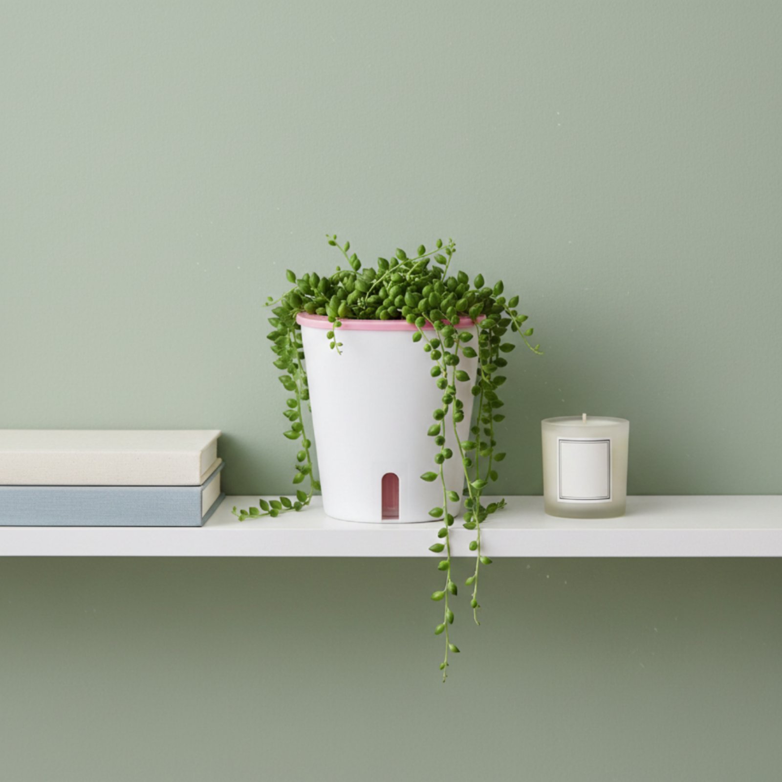 自動給水プランター 大型自動給水ポット 水貯蔵プランター 水 - Self Watering Planter のレビューと価格