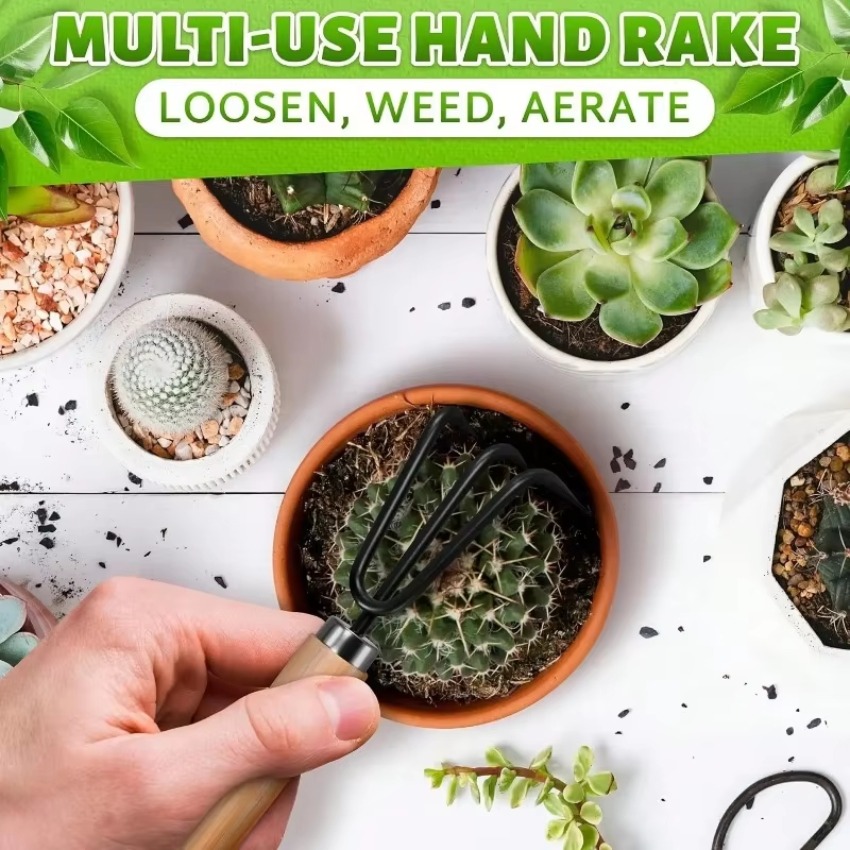 3点セット ミニガーデニングツールセット 携帯用熊手、移植ス - Indoor Garden Kit のレビューと価格